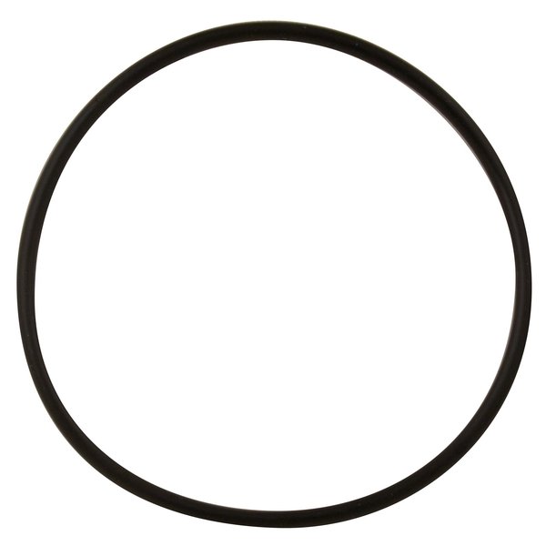 O-Ring, 21622