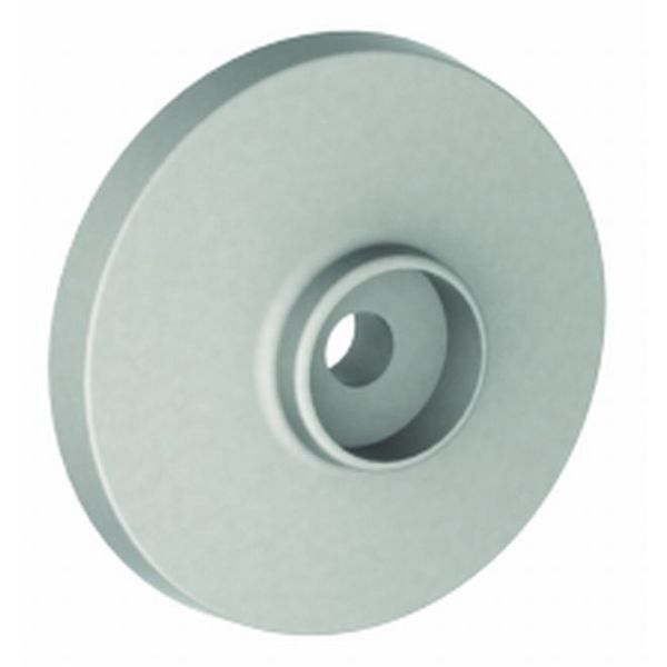 Bright Brass Rose 95673