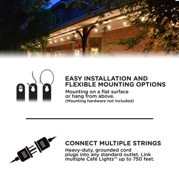 Cafe Lights, 48 ft., 24 Bulb