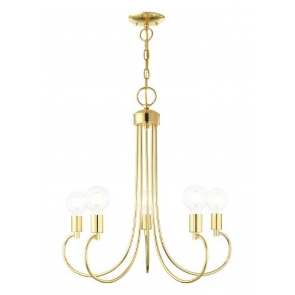 Polished Brass Chandelier, 5 Light