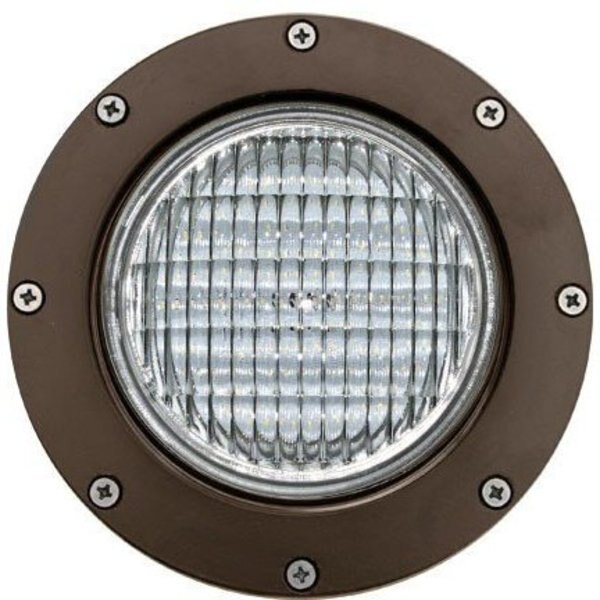 Well Light, 306, SS, S, Aluminum
