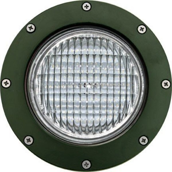 Well Light, 306, LED3, SS304, MR, Adj, 3W, LED