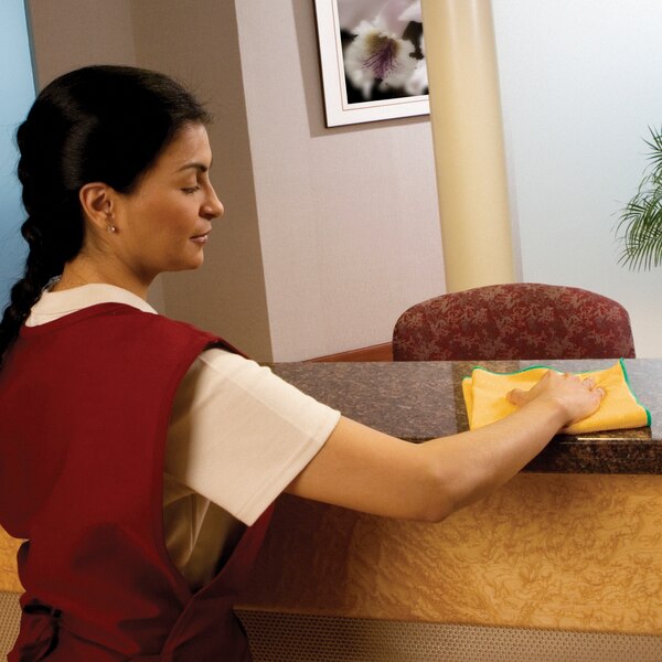 Microfiber Cloth Wipe 15-3/4