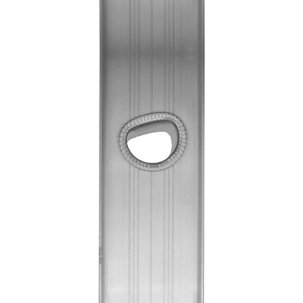 Aluminum Extension Ladder, 250 lb Load Capacity