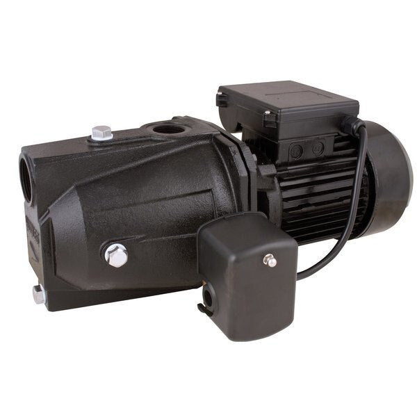 Shallow Well Jet Pump, 3/4 HP