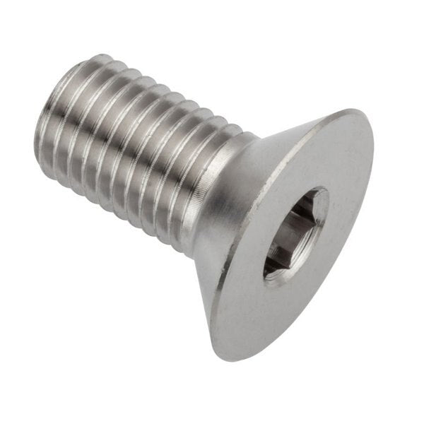 M10 Socket Head Cap Screw, Plain Stainless Steel, 12 mm Length