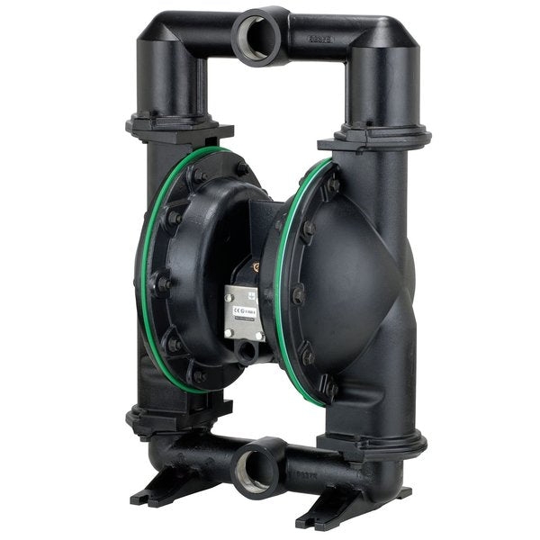 Diaphragm Pump, 2In, 66625C-EEB-C