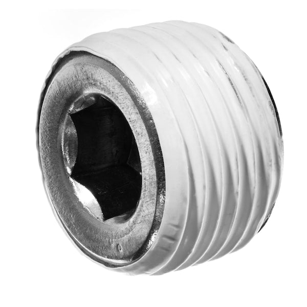 Pipe Fitting w Sealant - 304SS - #150 - Hex Socket Plug - 1-1/2
