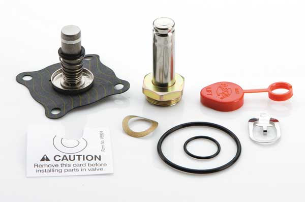 Valve Rebuild Kit