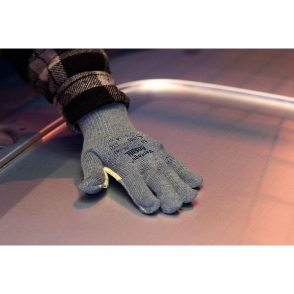 Cut Resistant Gloves, A4 Cut Level, Uncoated, L, 1 PR