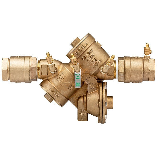 Backflow Preventer, 2 in, FNPT