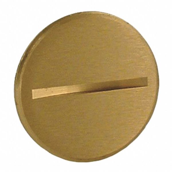 Flush Plug, 1