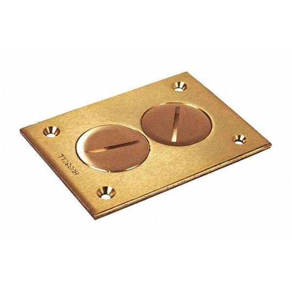 Cover, Floor Box, Rect, 2 Plug, Brass