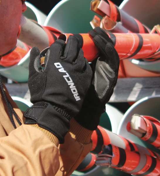 Cold Protection Gloves, Micro Fleece Lining, L