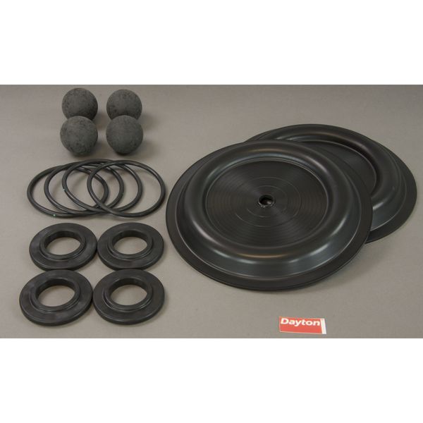 Pump Repair Kit, Santoprene, Fluid, 1 In.