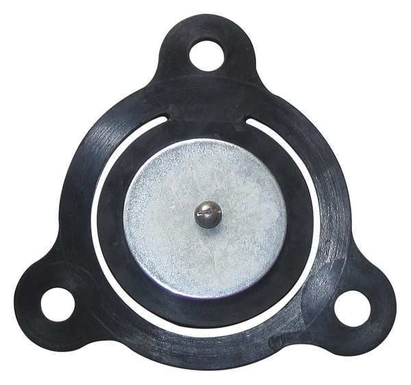 Check Valve