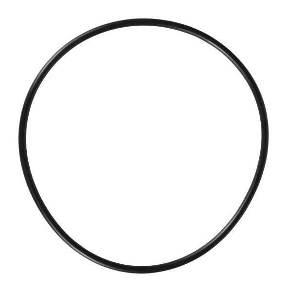 O-Ring For Filter Neck