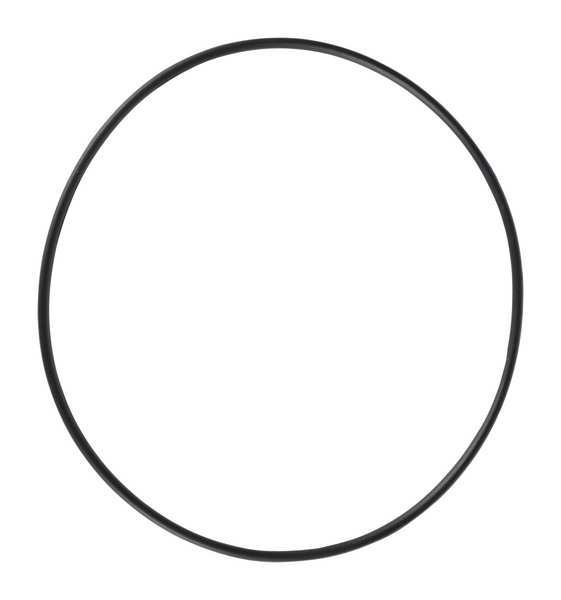 O-Ring, PPL3405G