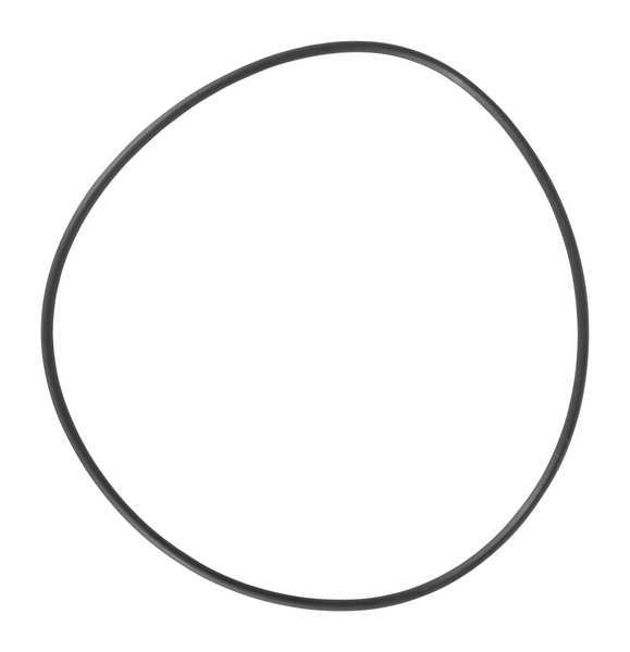O-Ring, PPL3406G