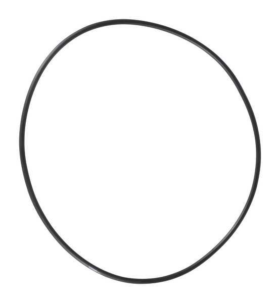 O-Ring, PPL3419G
