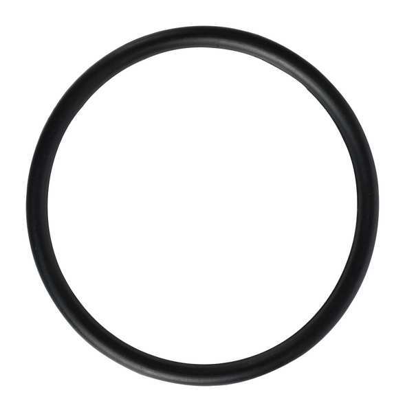 O-Ring, PPL3424G