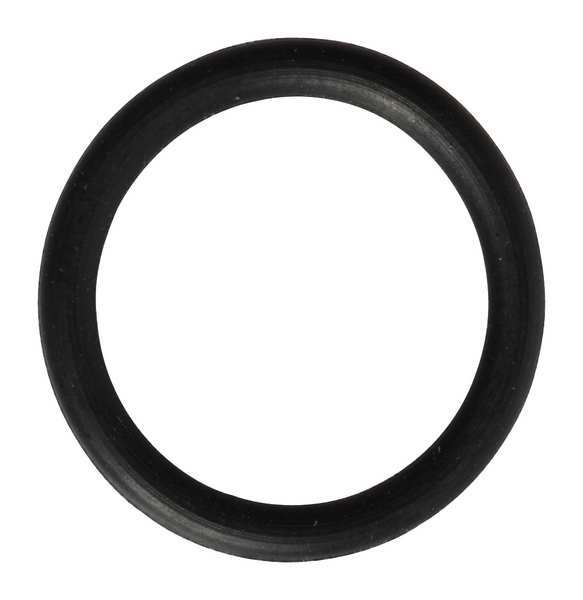 O-Ring, PP60070G