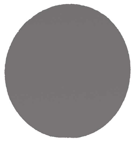 Sanding Disc, SC, Paper, 12In, 120G, PK100