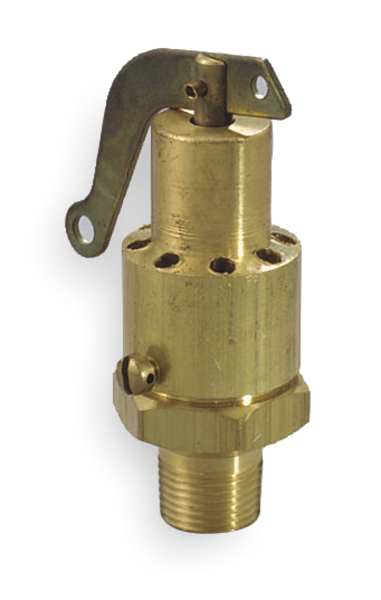 Safety Relief Valve, 1/2 In, 100 psi, Brass