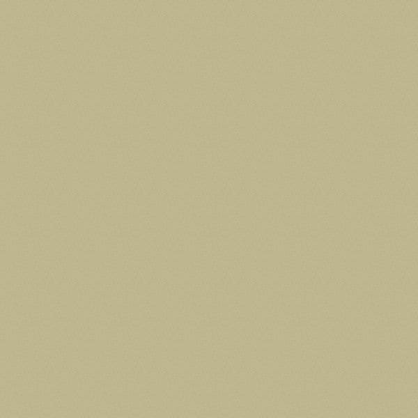 Spray Epoxy Primer, Beige, Flat Finish, 14.1 oz