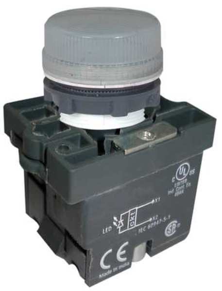 Pilot Light, LED, 22mm, 24VAC/DC, WH, Plastic