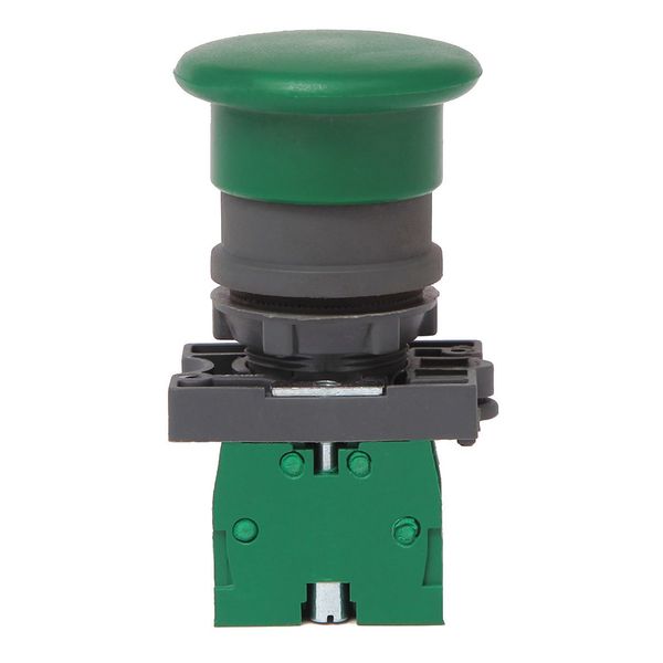 Non-Illuminated Push Button, 22 mm, 1NO, Green