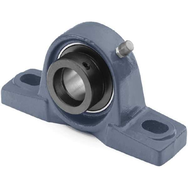 Pillow Block Bearing, Ball, 2