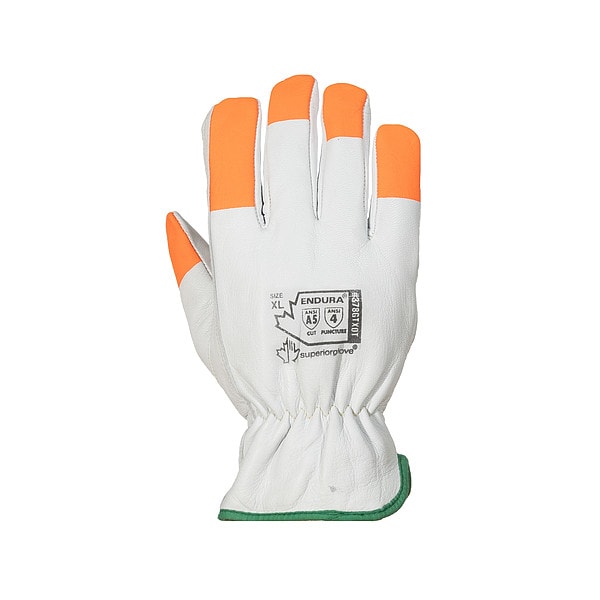 Work Gloves, Drivers, M, Leather, PR