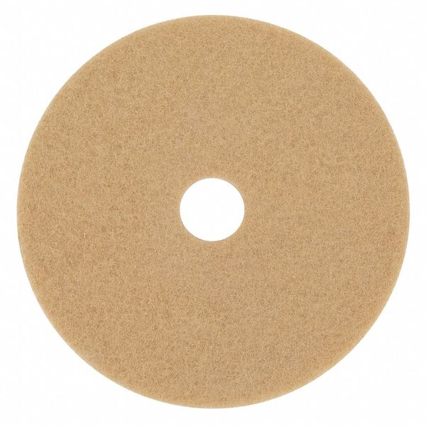 Burnishing Pad, 19 In, Tan, PK5