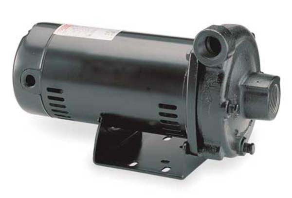 Cast Iron 1 HP Straight Center Discharge Pump 115/230V