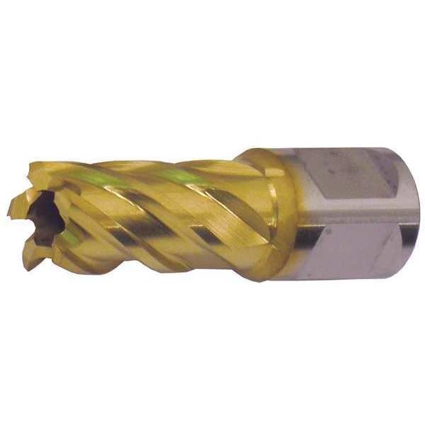 Annular Cutter, M42 TiN, 1 1/4 Dia, 1 D