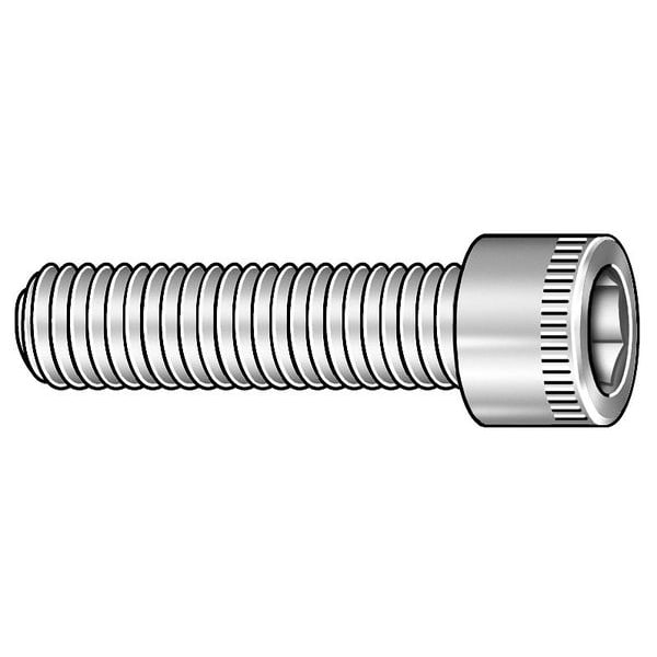 #12-24 Socket Head Cap Screw, Plain 18-8 Stainless Steel, 3/8 in Length, 10 PK