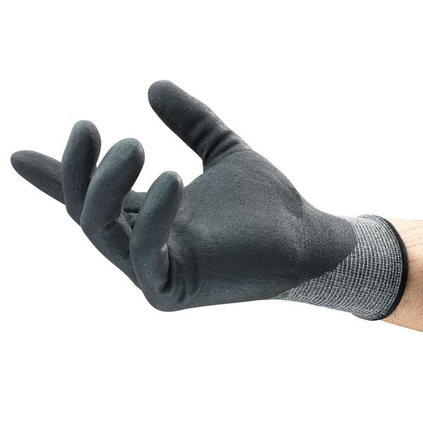 Cut Resistant Coated Gloves, A2 Cut Level, Nitrile, S, 1 PR