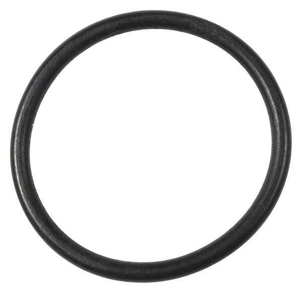 O-Ring, TTRL12162G