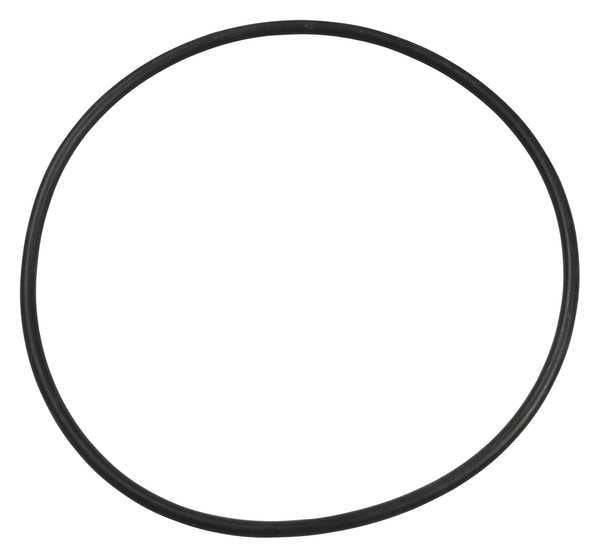 O-Ring, PPTPXY06G