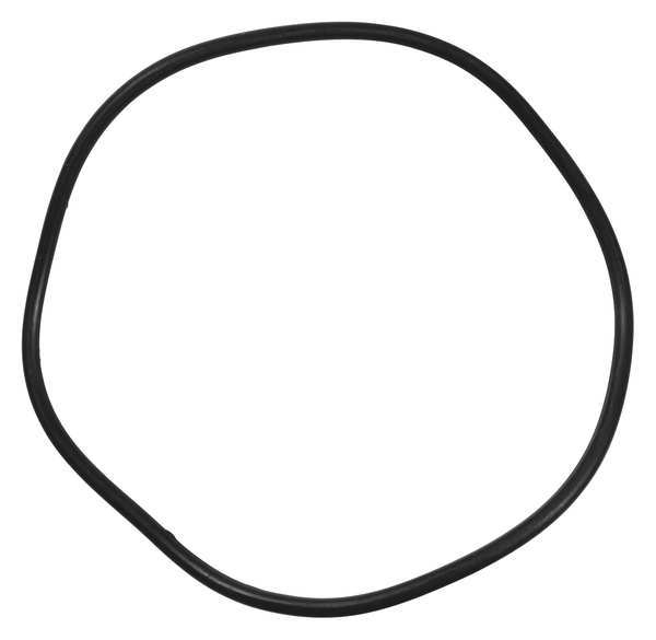 O-Ring, PPTPXX306G