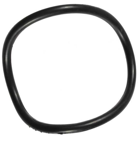 O-Ring, PPTPXX502G