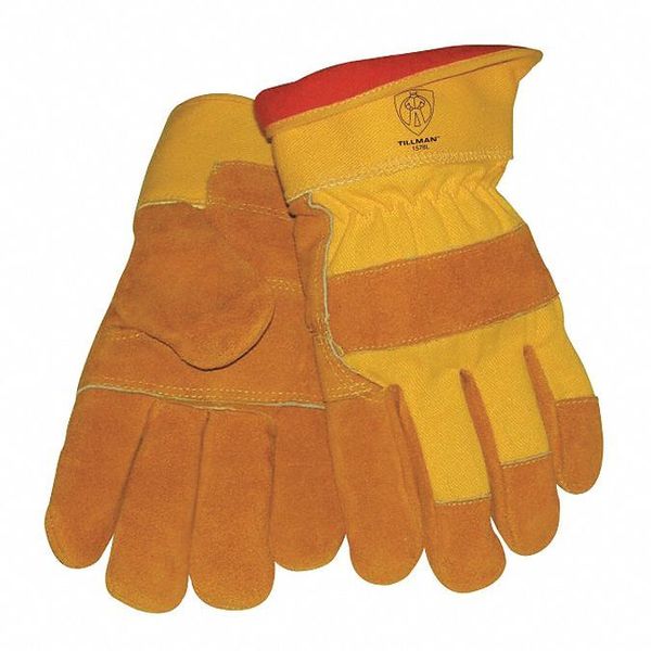 Cold Protection Gloves, Cotton/Foam Lining, L