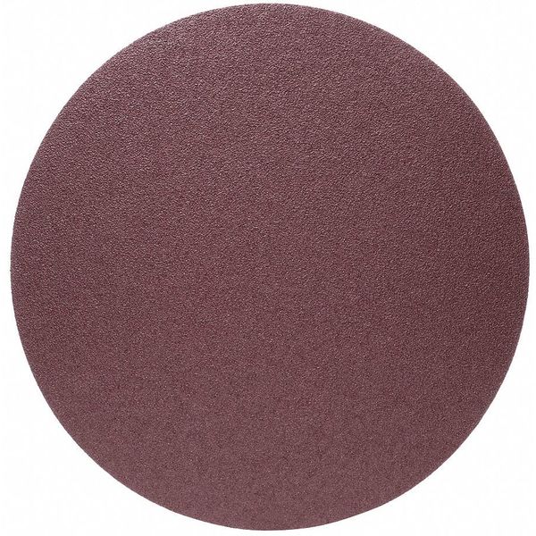 Sanding Disc, Extra Coarse, 18 in Dia, PK10