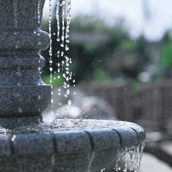 Fountain Pump, 1/64 HP, 120V, 7.9 ft. Head