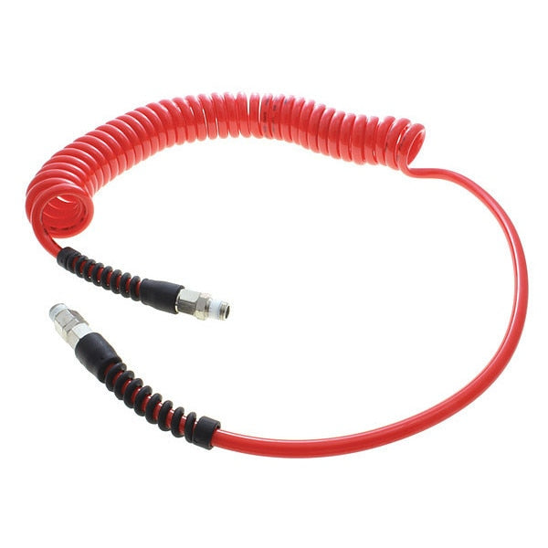 Coiled Air Hose Assembly, 1/4