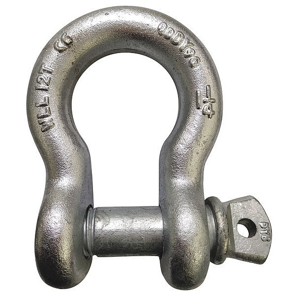 Anchor Shackle, Screw Pin, 7/8