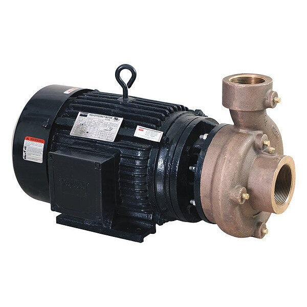 Centrifugal Pump, 3 Ph, 230/460VAC