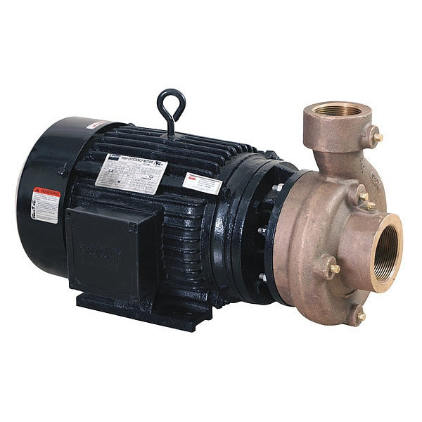 Centrifugal Pump, 3 Ph, 230/460VAC