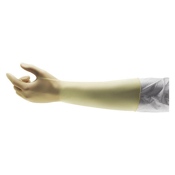 Disposable Gloves Latex Powder Free Natural Xl 200 PK